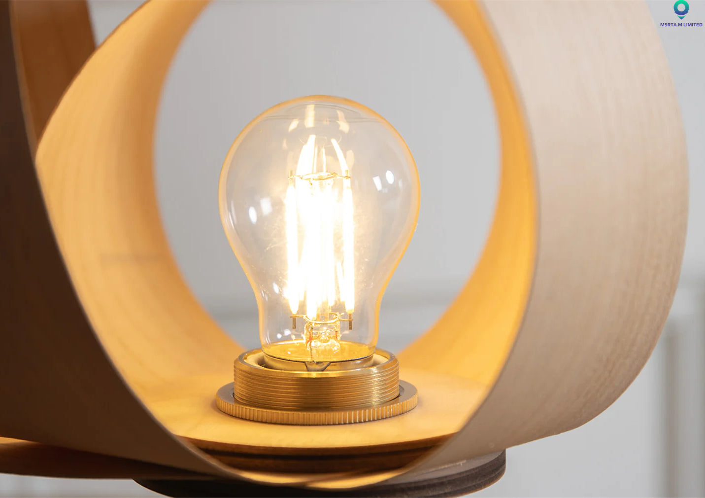 Indara Portable Desk Lamp